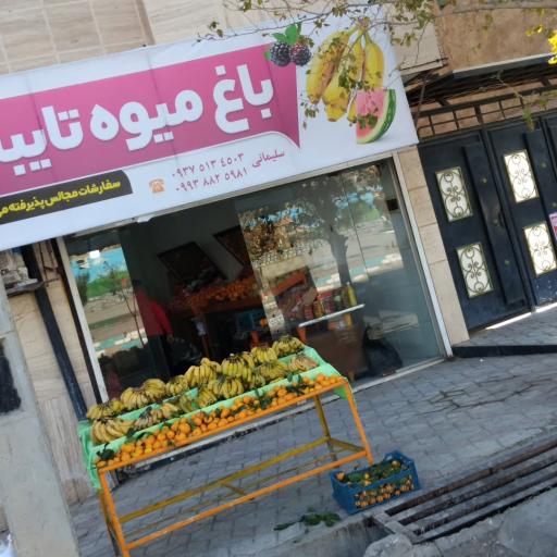 عکس باغ میوه تایباد 