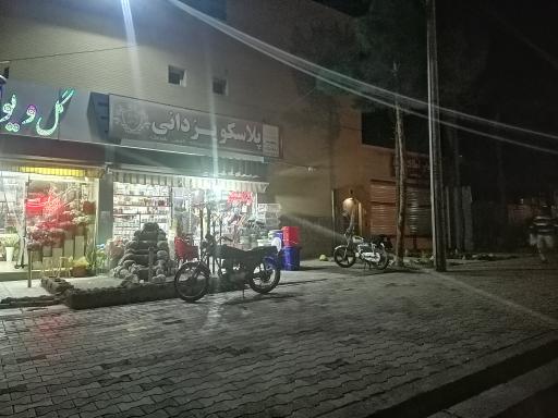 عکس پلاسکو یزدانی