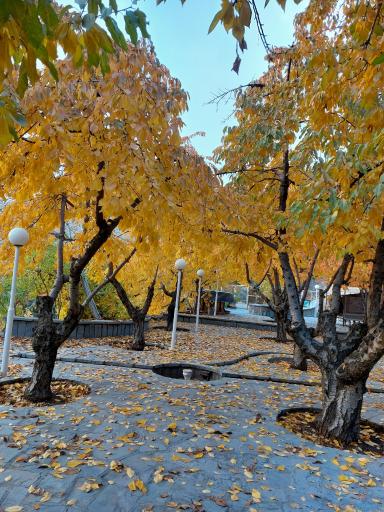 عکس کافه رستوران سنتی بام سوهانک