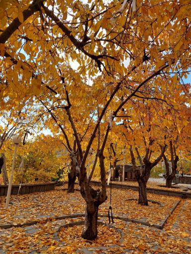 عکس کافه رستوران سنتی بام سوهانک