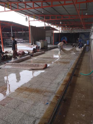 عکس قالیشویی مركزی