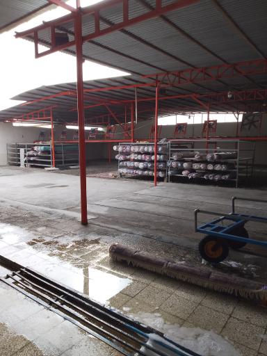 عکس قالیشویی مركزی