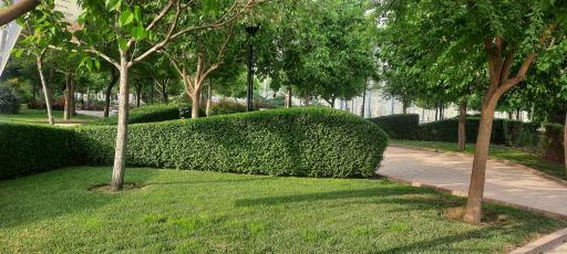 عکس بوستان فدک