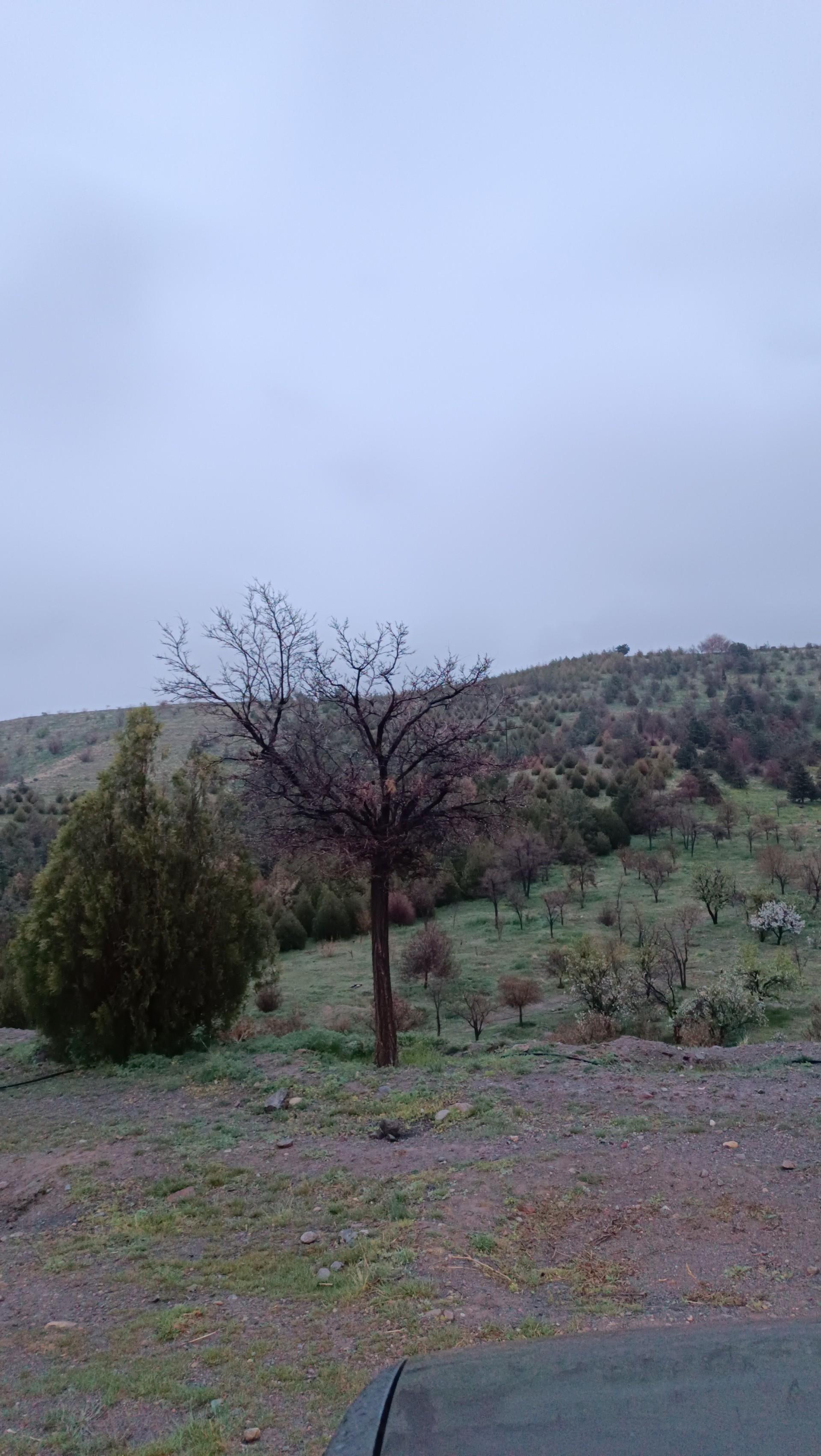 عکس هشت بهشت