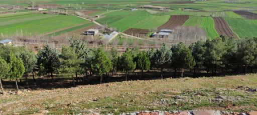 عکس پارک صخره ای بابا داوود
