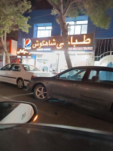 عکس طباخی شاهگوش 