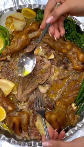 عکس طباخی شاهگوش 