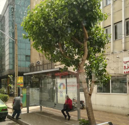 عکس سهروردی