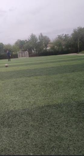 عکس زمین چمن موسوی قوچانی 