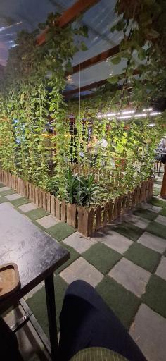 کافه شمعدونی 