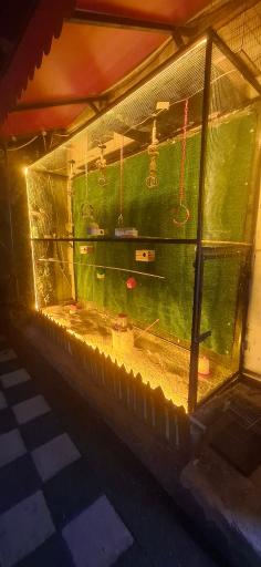 کافه شمعدونی 