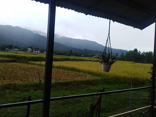 عکس مجتمع اقامتی فرزین(سوییت)