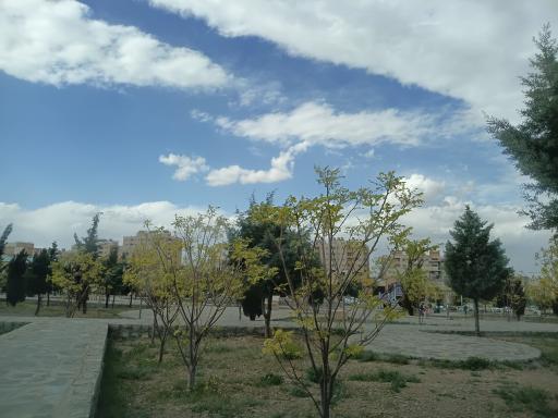 عکس پارک کاج