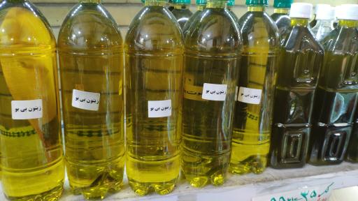 عکس زیتون سرای مصباح