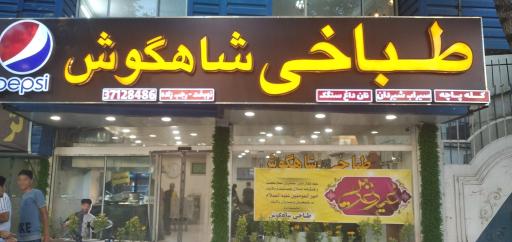 عکس طباخی شاهگوش 