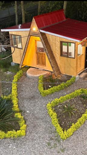 عکس باغ شاهانی