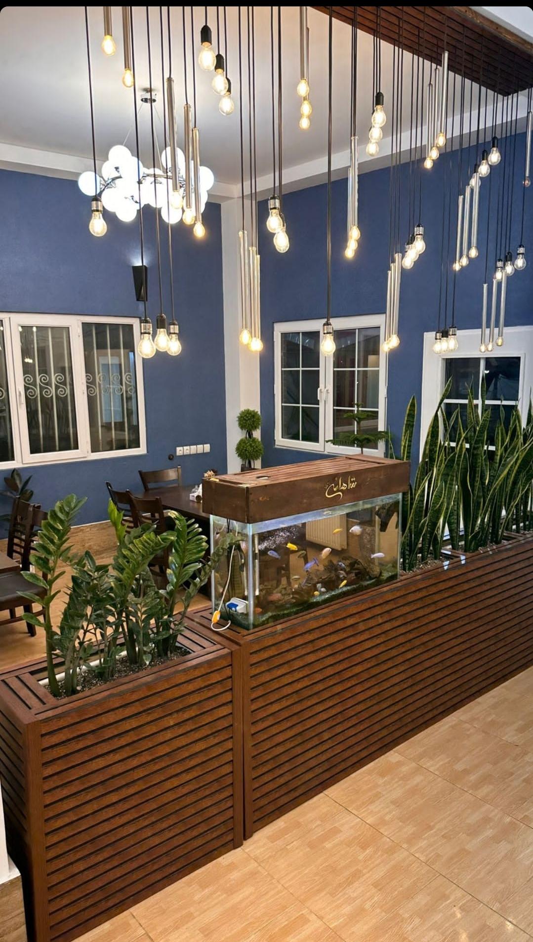 عکس باغ شاهانی