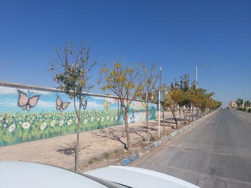 عکس دبستان کبوتران حرم رضوی