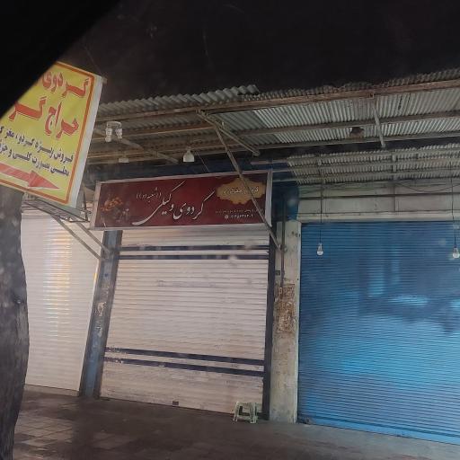 عکس گردو وکیلی