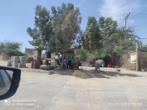 عکس پیک نیک پرکنی و کپسول فروشی