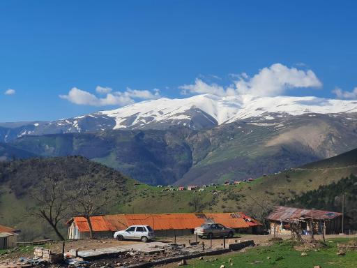 عکس خریدول