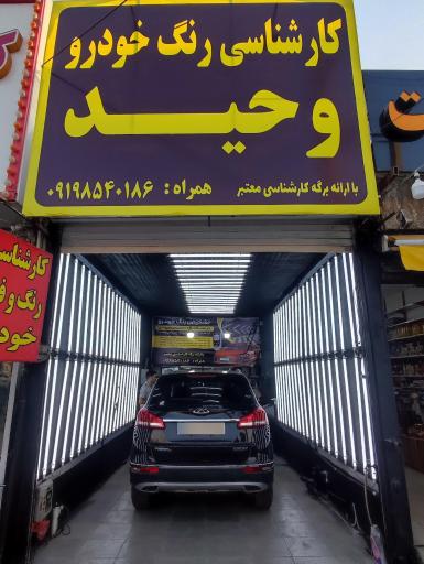 عکس تشخیص رنگ وحید