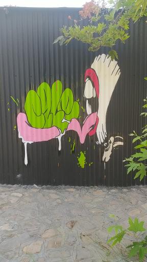 عکس کافه مون 