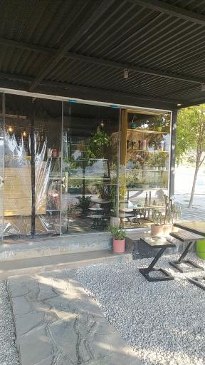 عکس کافه مون 