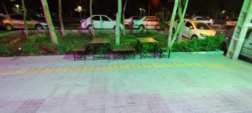 عکس فست فود هانی