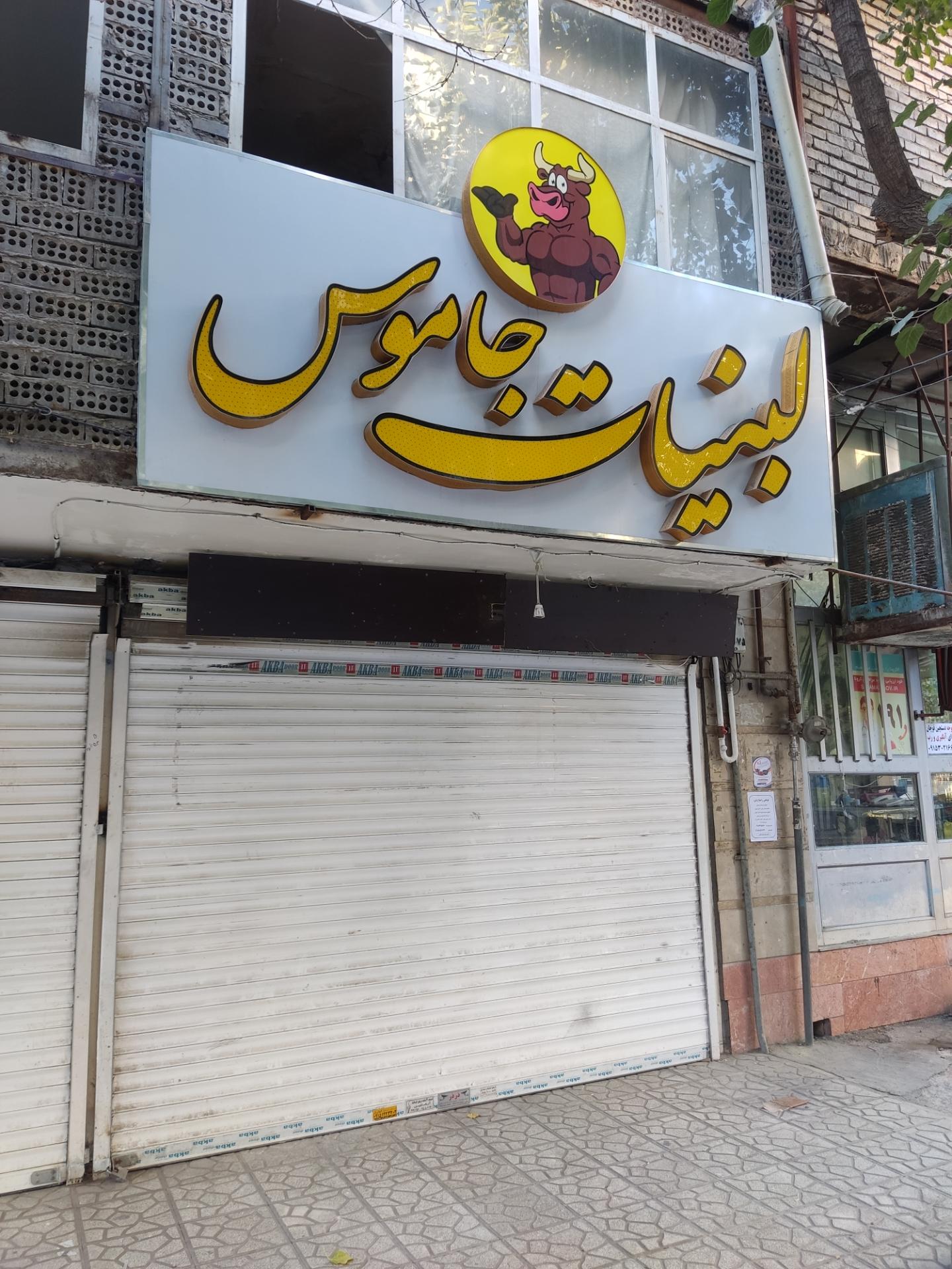 عکس لبنیات جاموس