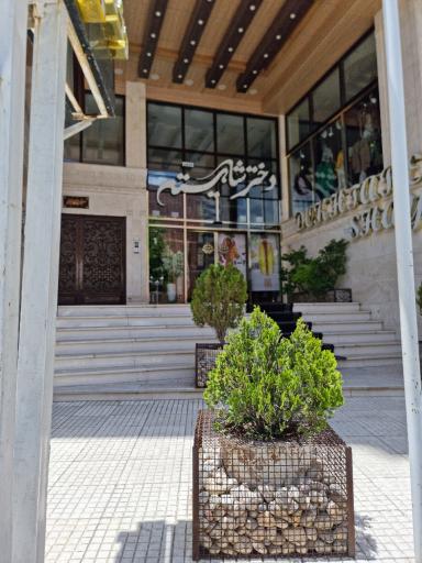 عکس مزون دختر شایسته