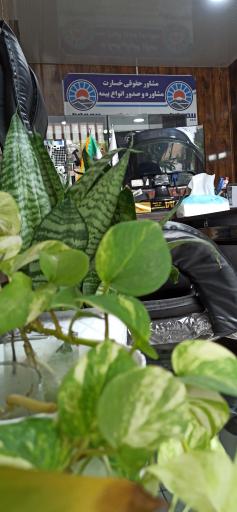 عکس بیمه ایران نمایندگی باقرزاده ۳۷۷۹۴