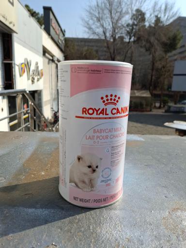 عکس پت شاپ نیلا