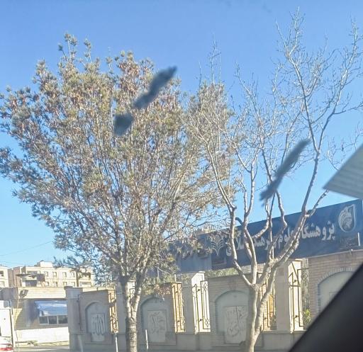 دانشگاه باقرالعلوم