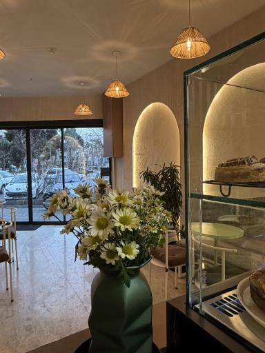 عکس ماچا لب