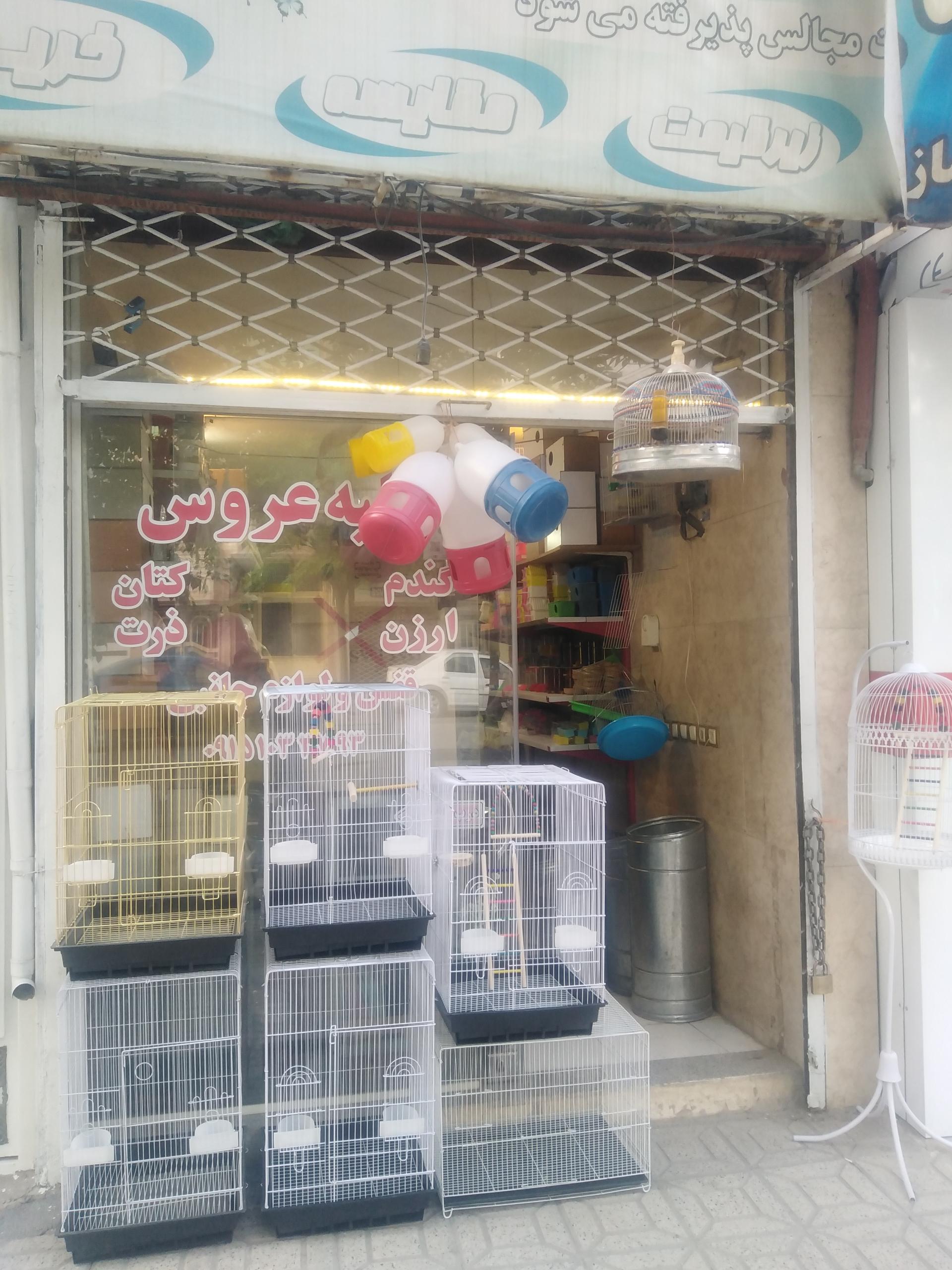 عکس پرنده فروشی پیله ور