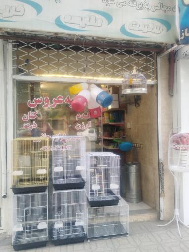 عکس پرنده فروشی پیله ور