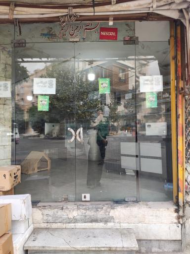 عکس تیپاکس پونک