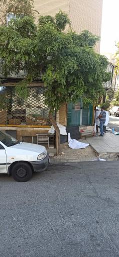 عکس تیپاکس پونک