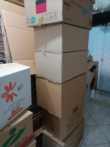 عکس کارتن مهر مشهد