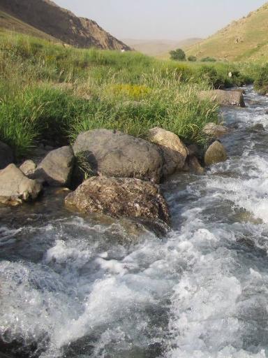 عکس باغات قاسم کریمی
