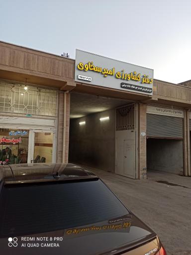 عکس خوراک دام امید سخاوی