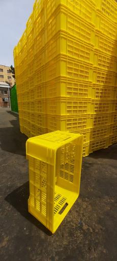 عکس کارخانه سبد سازی لرانتیک