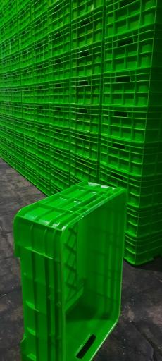 عکس کارخانه سبد سازی لرانتیک