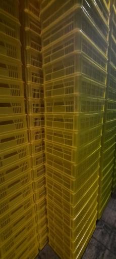 عکس کارخانه سبد سازی لرانتیک