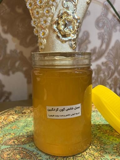 عکس عسل سیاوشیان 