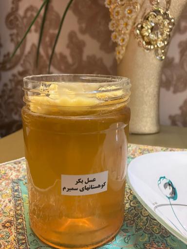 عکس عسل سیاوشیان 