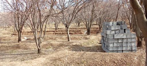 عکس باغات قاسم کریمی