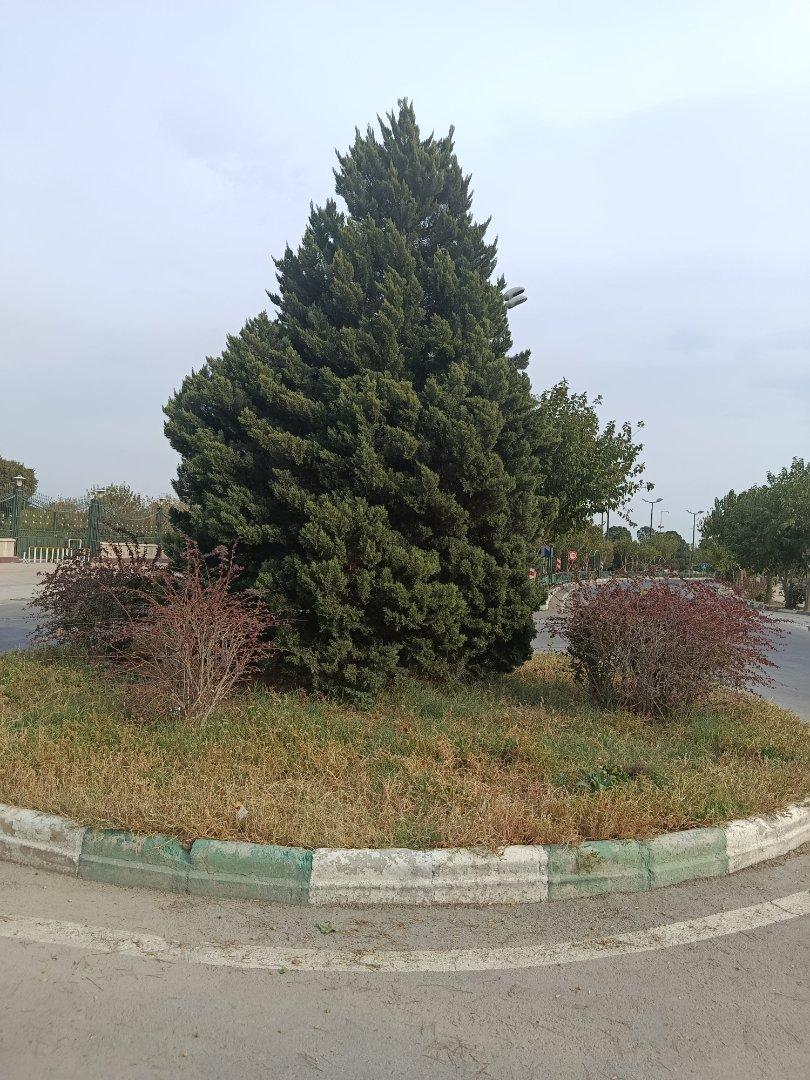 عکس میدان مصطفی خمینی