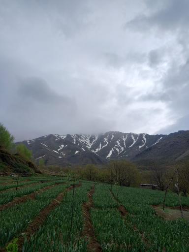 عکس وفرجین